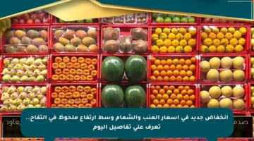 انخفاض جديد في أسعار العنب والشمام وسط ارتفاع ملحوظ في التفاح.. تعرف على تفاصيل اليوم